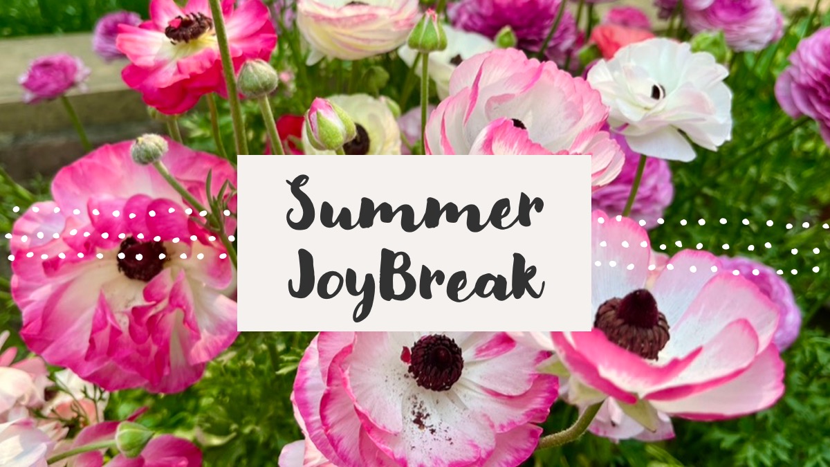 summer joybreak.jpg